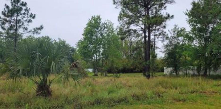 921 Halifax Dr., Kissimmee, FL 34758