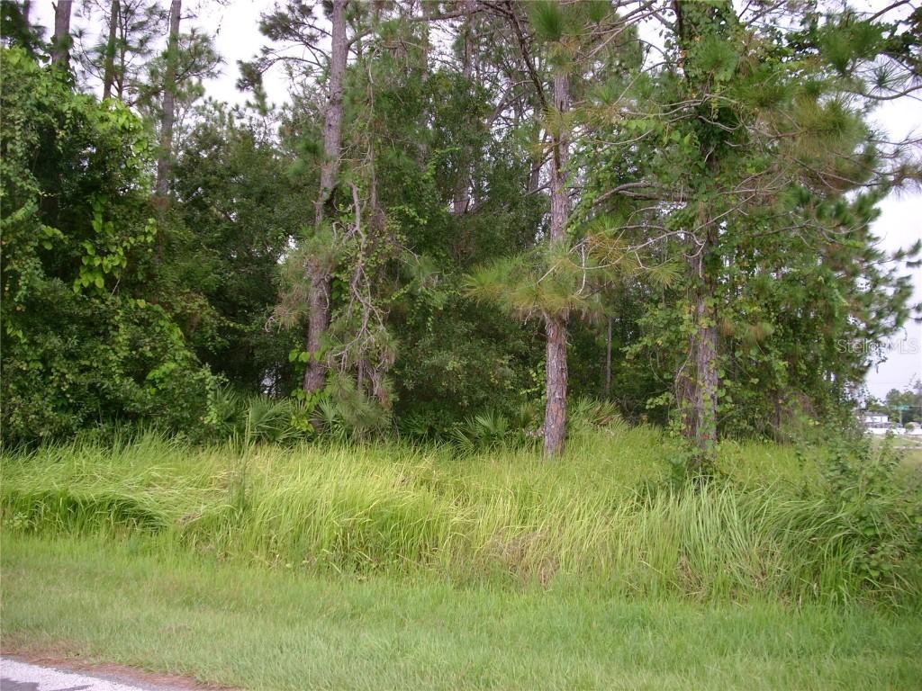 1034 Embrun Ct., Kissimmee, FL 34759