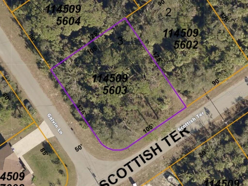 Scottish Ter., North Port, FL 34288