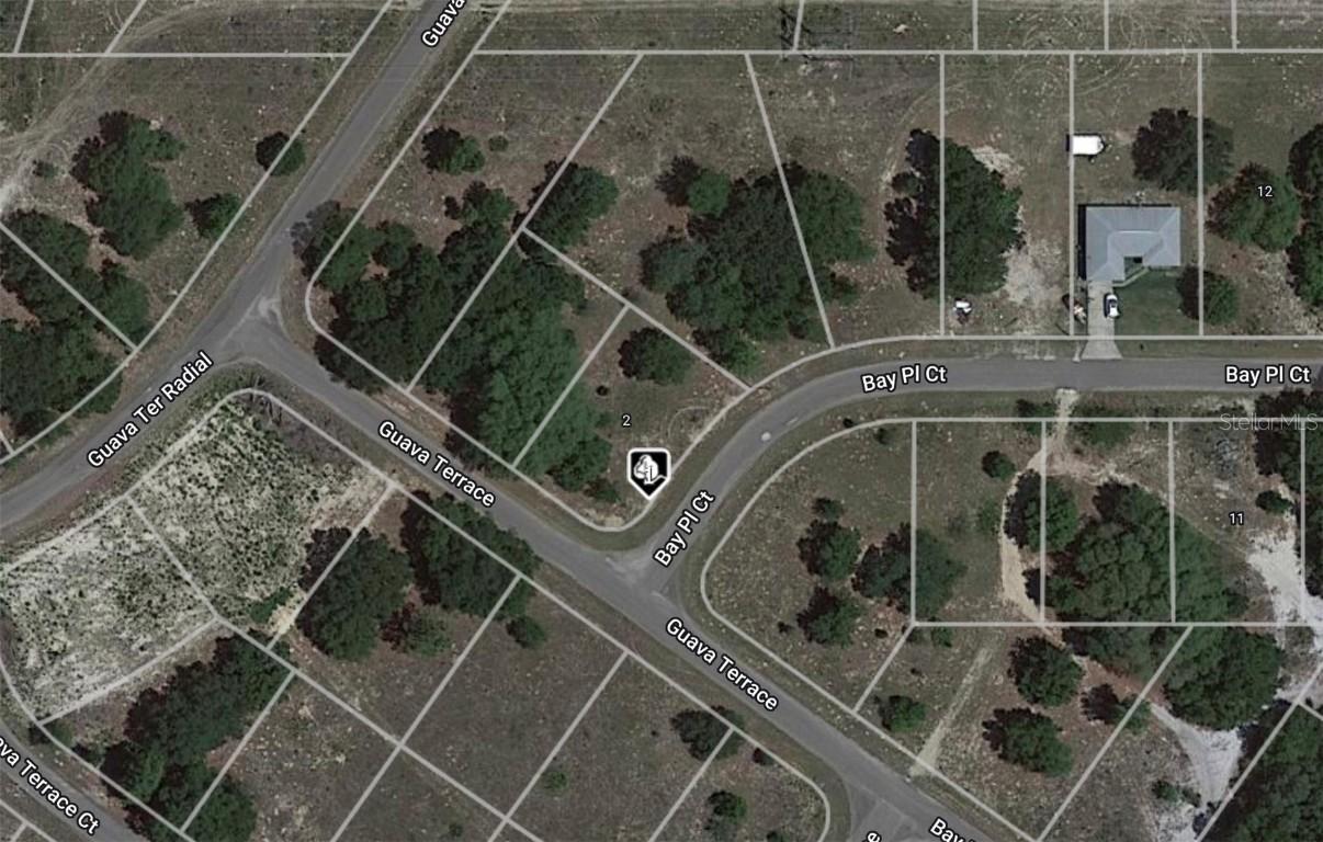 00 Bay Place Ct., Ocklawaha, FL 32179