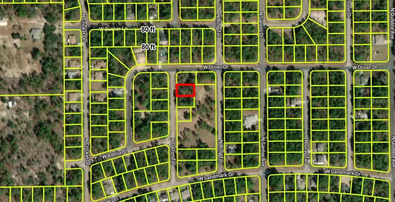 7627 N Dalton Ter., Dunnellon, FL 34434