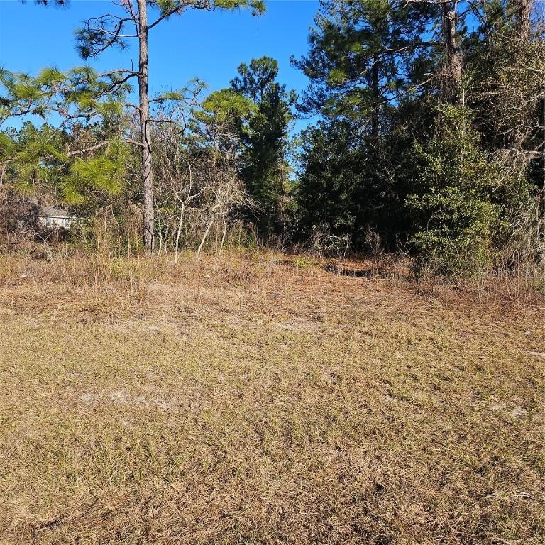 [Address Hidden by Seller], Ocala, FL 34476
