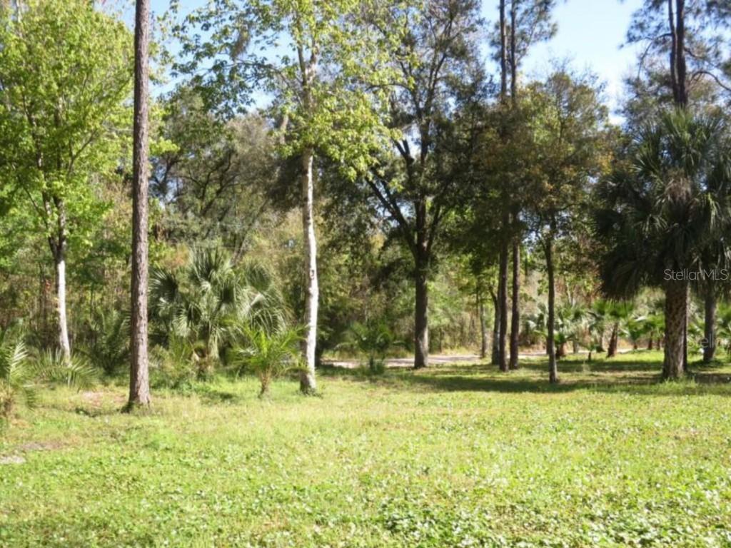 8674 Sweetwater Tr., Kissimmee, FL 34747