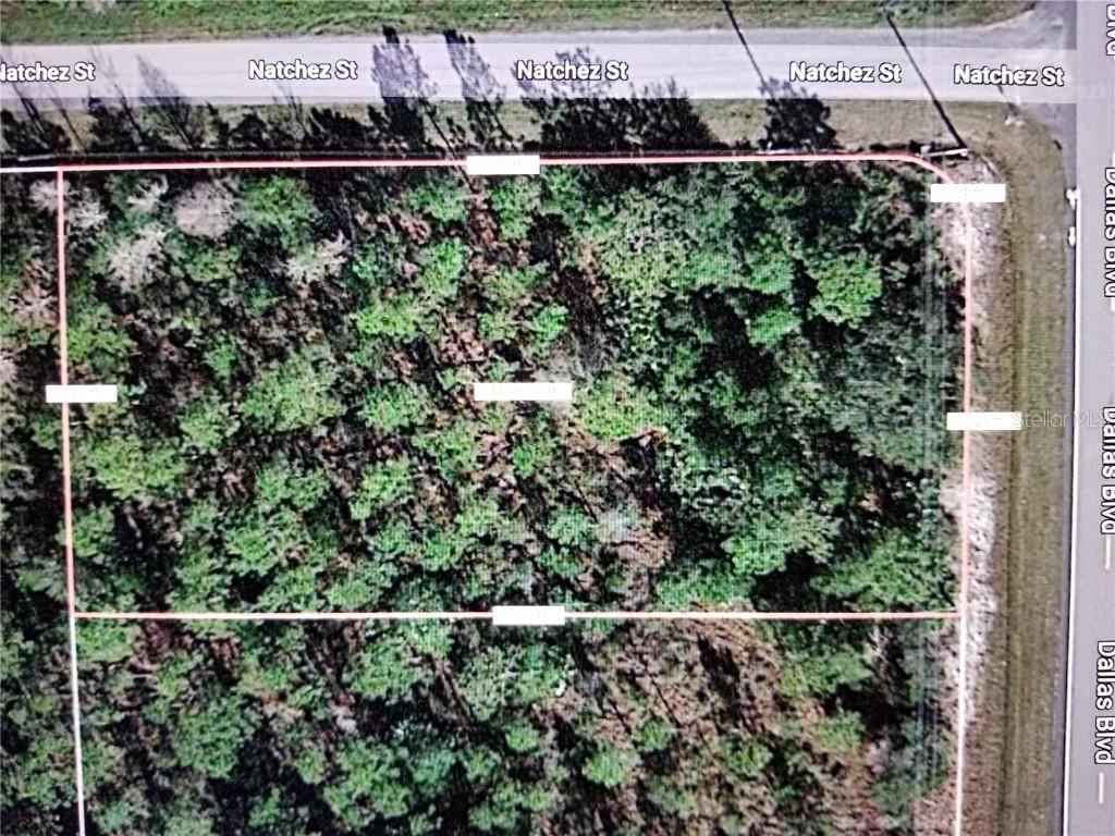 00 Dallas Blvd., Orlando, FL 32833