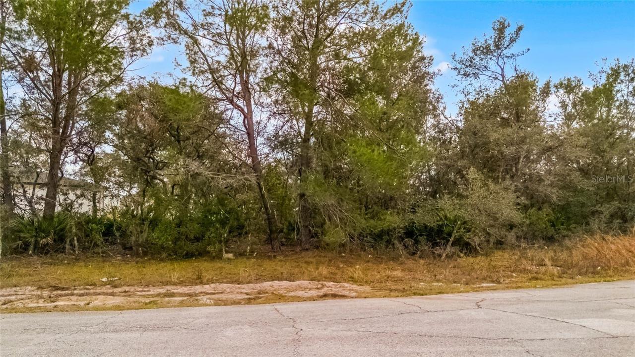 614 Alafia Pl., Kissimmee, FL 34759