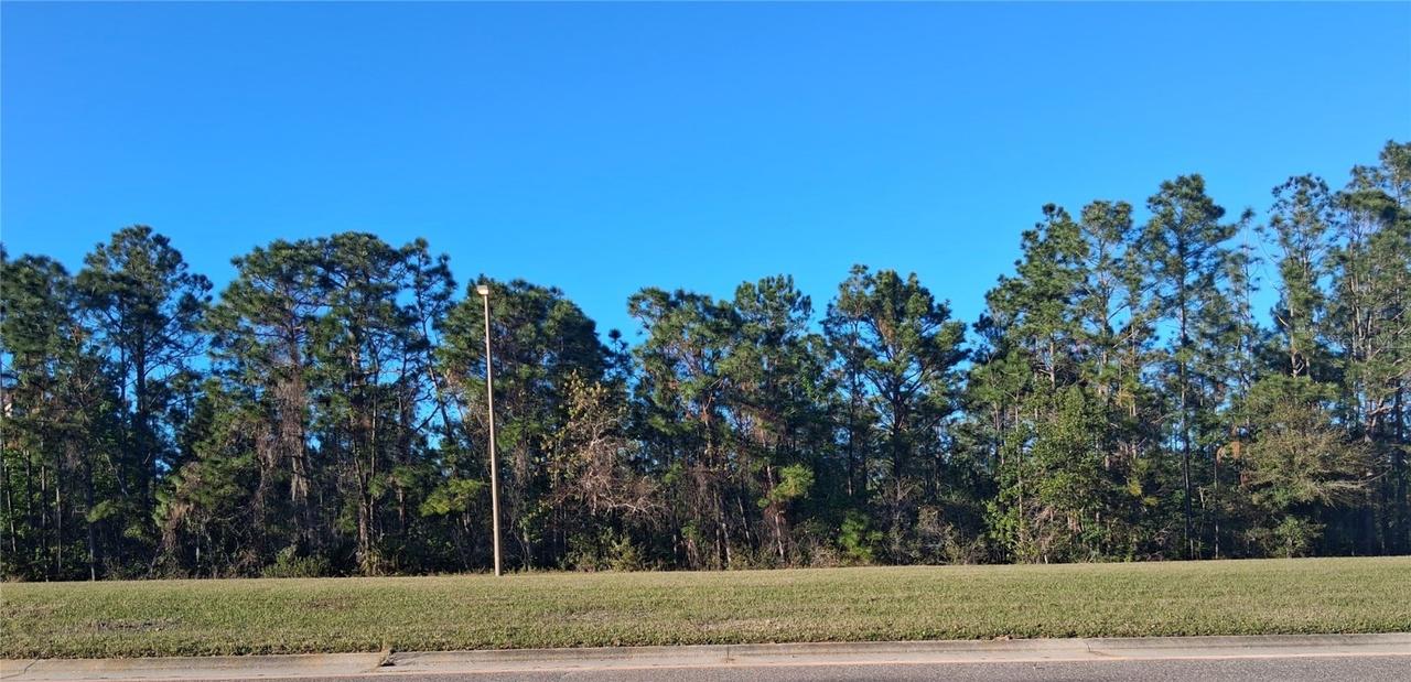 International Dr., Orlando, FL 32821