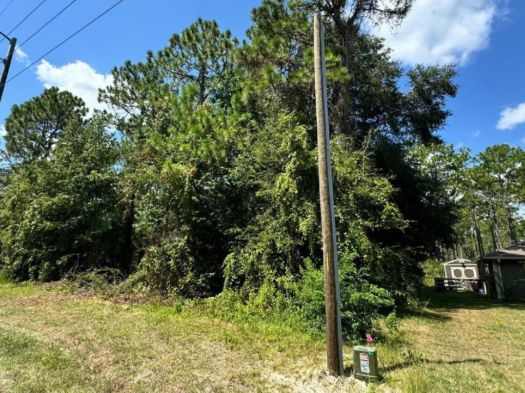 14346 SW 79th Ter., Ocala, FL 34473