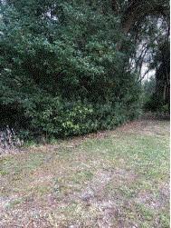 1548 S Silverstone Ct., Orange City, FL 32763