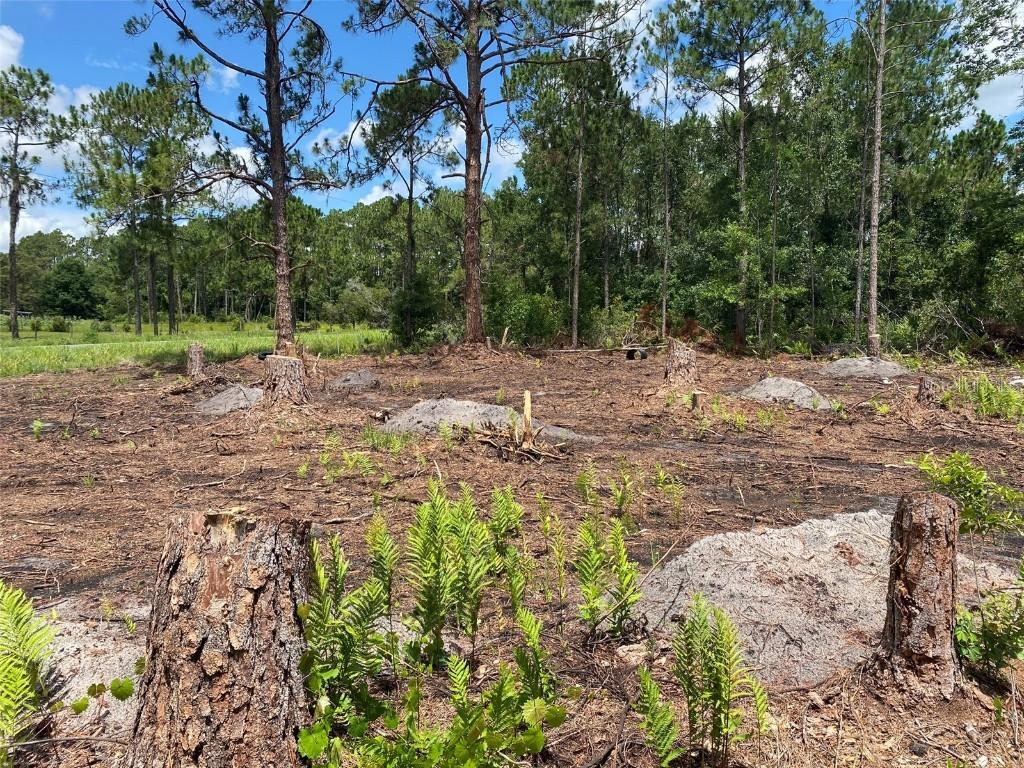 2101 W Frostproof Rd., Frostproof, FL 33843