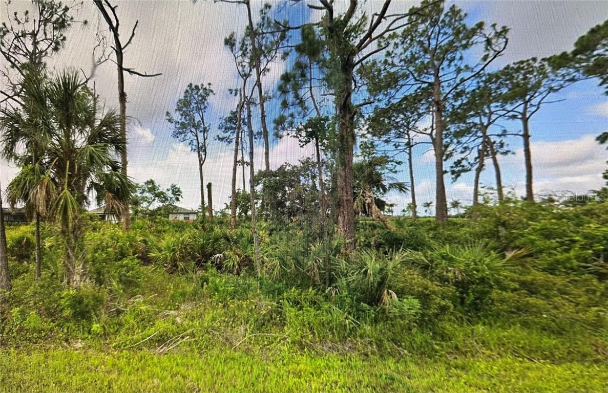15461 Wyandotte Ave., Port Charlotte, FL 33953