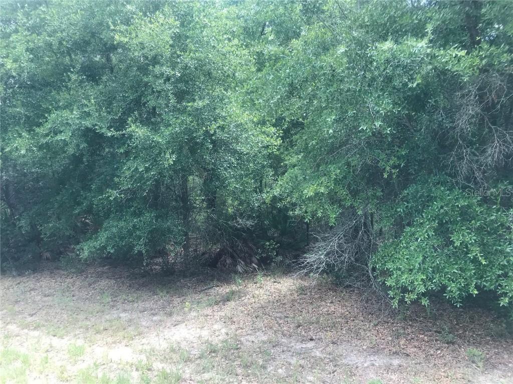 10161 N Dyal Dr., Citrus Springs, FL 34434