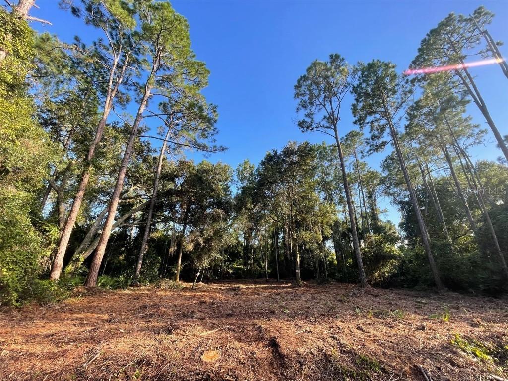 325 Redwood Blvd., Georgetown, FL 32139