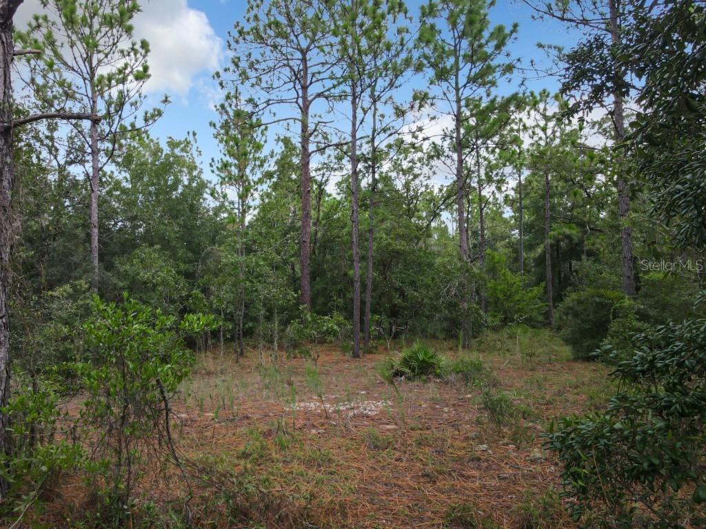 100th St, Ocala, FL 34481