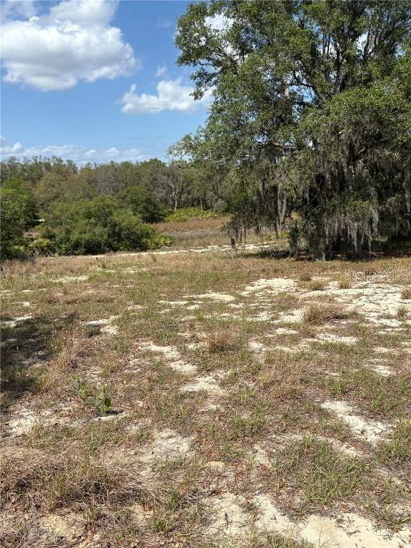 669 Dicks Rd., Babson Park, FL 33827