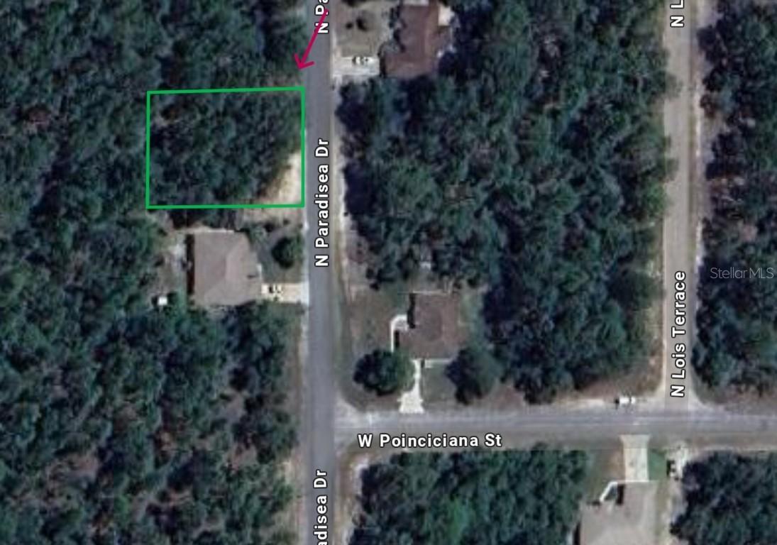 9660 N Paradisea Dr., Citrus Springs, FL 34433