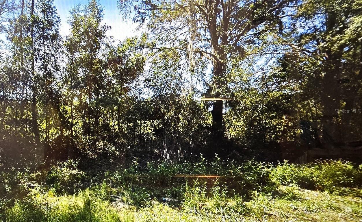 OFF NW Cr-138, Branford, FL 32008
