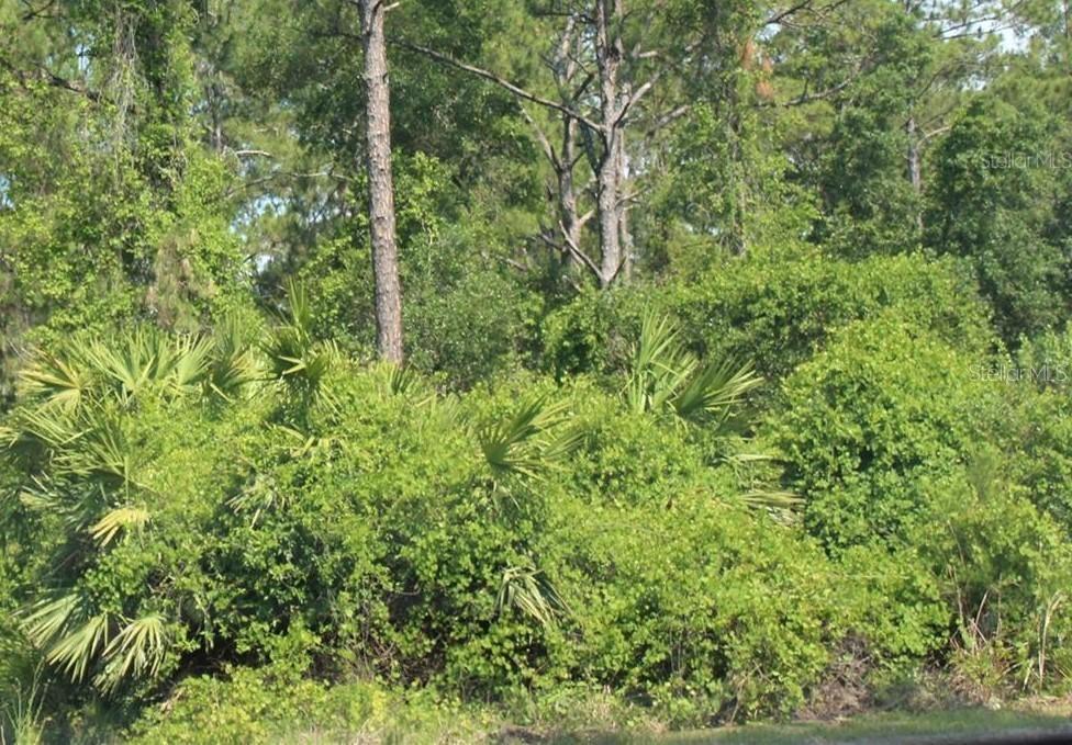 [Address Hidden by Seller], De Leon Springs, FL 32130
