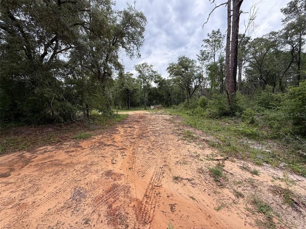 10155 SW 158th Ln., Dunnellon, FL 34432