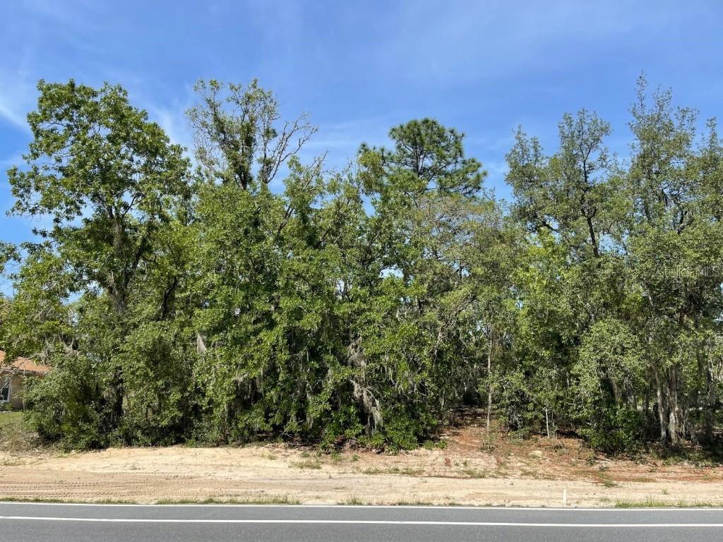 Marion Oaks Manor, Ocala, FL 34473