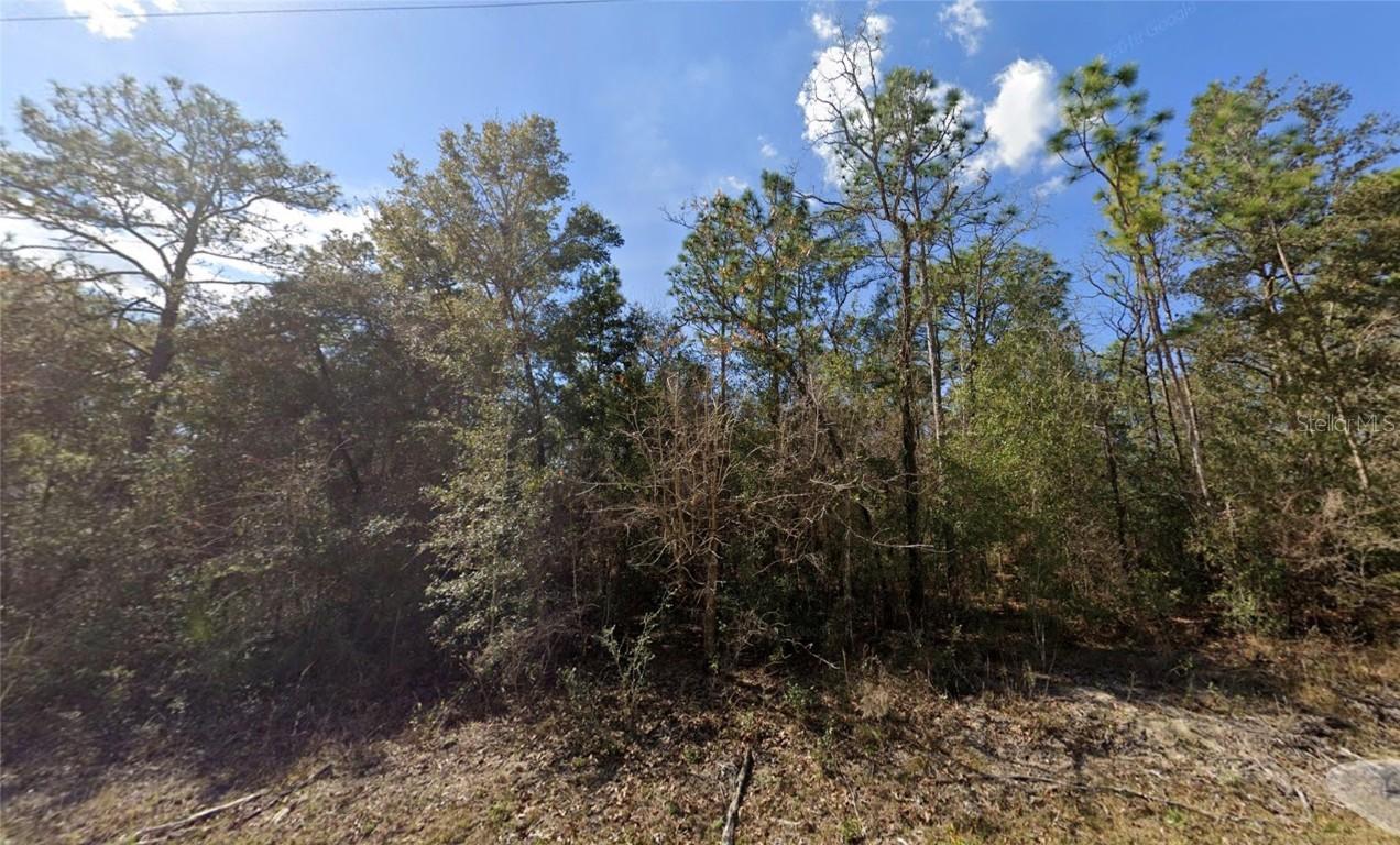 Canyon Swallow Rd. #Lot 5, Brooksville, FL 34614