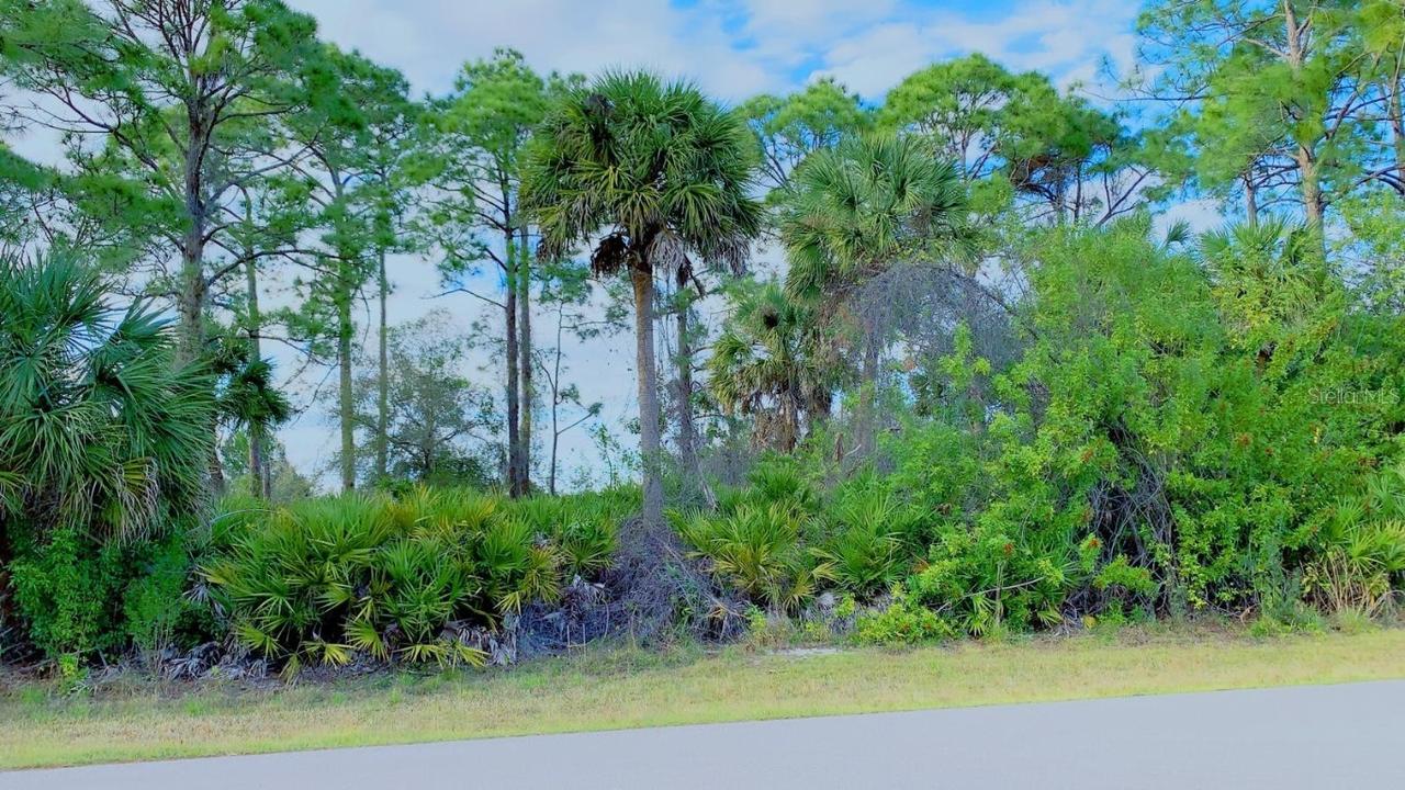 22028 Seyburn Ter., Port Charlotte, FL 33954