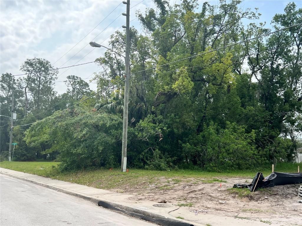 June St., Kissimmee, FL 34741
