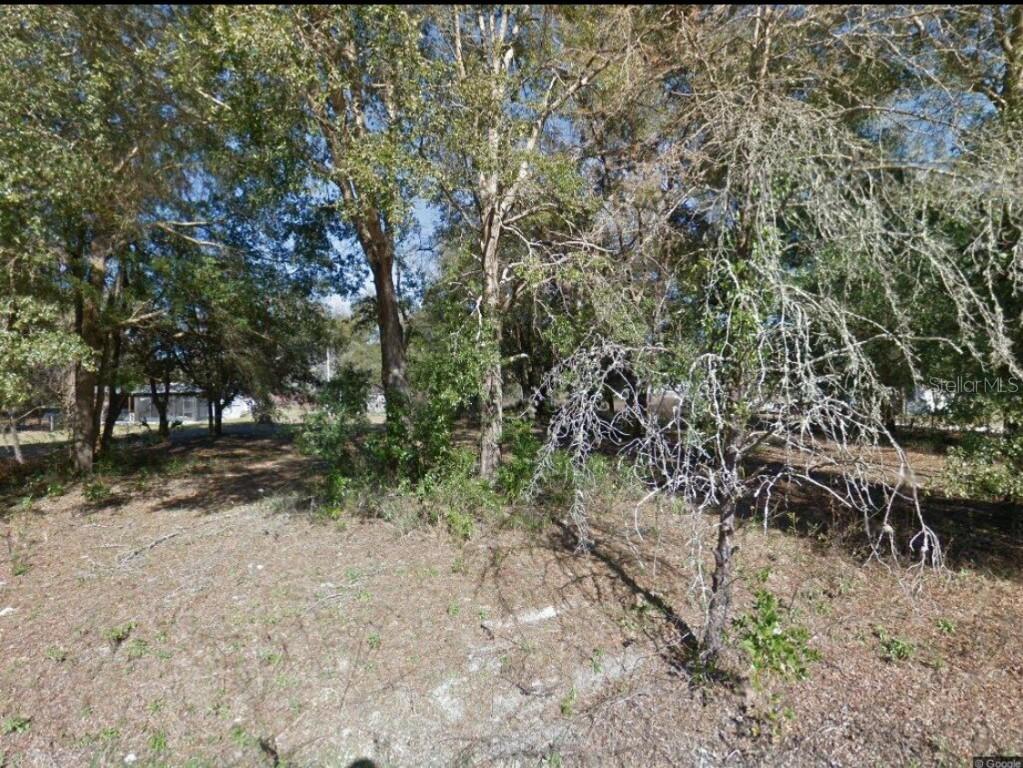 17449 NW 89th Ter., Fanning Springs, FL 32693
