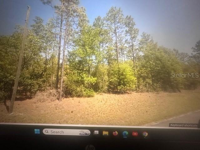 0 Sw 207 Ct., Dunnellon, FL 34431