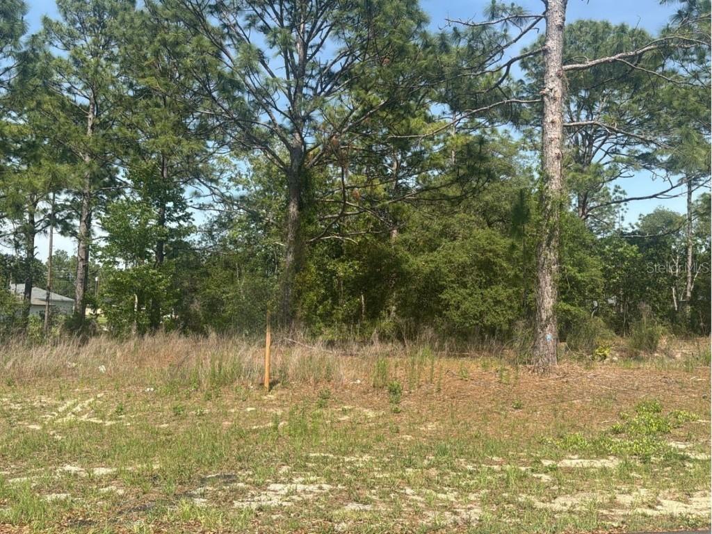 51 St Ct., Ocala, FL 34473