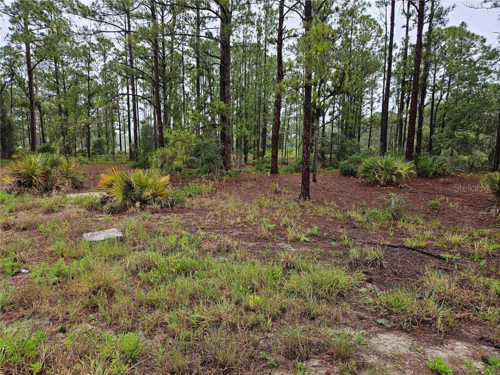 308 Sunflower Ave., Lake Placid, FL 33852