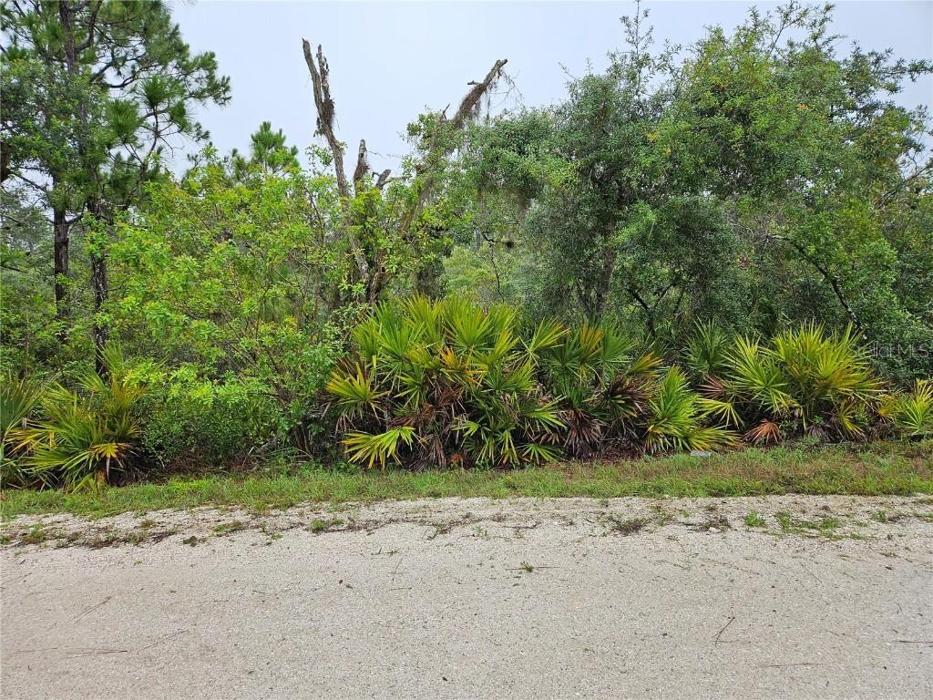 276 Deerwalk Ave., Lake Placid, FL 33852