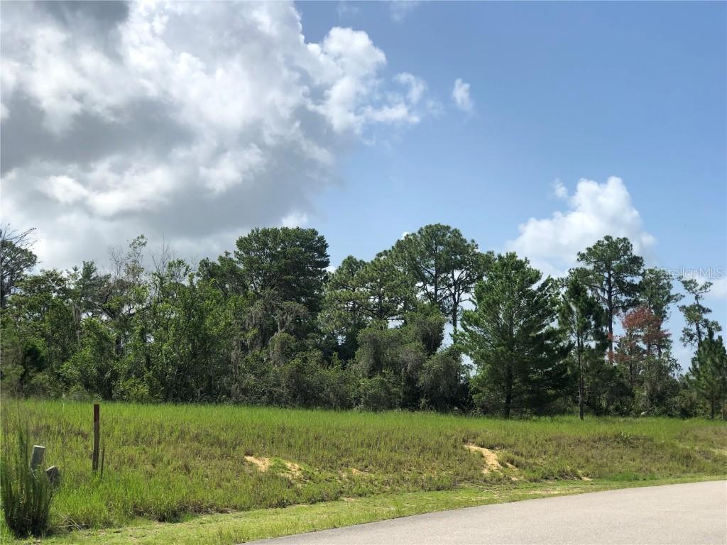 1005 Hawks Landing Dr., Sebring, FL 33875