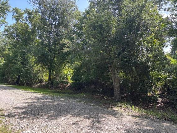 New Homes For Sale This Week in Christmas: June 6th to June 12th