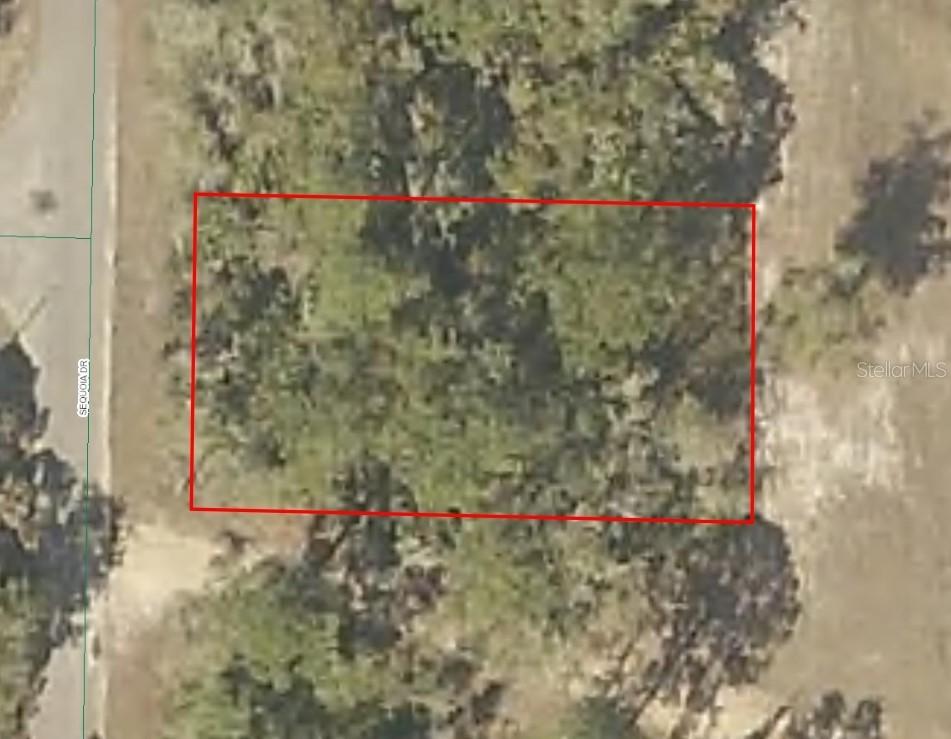 Sequoia Dr., Ocklawaha, FL 32179