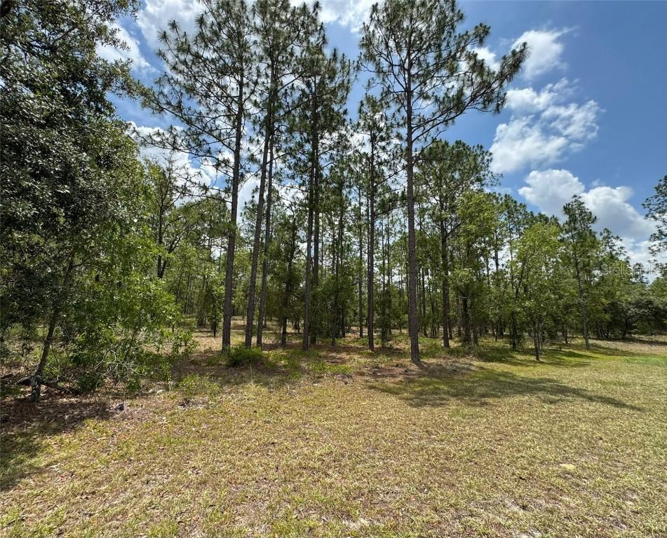 Lot 15 SW Neptune Blvd., Dunnellon, FL 34431