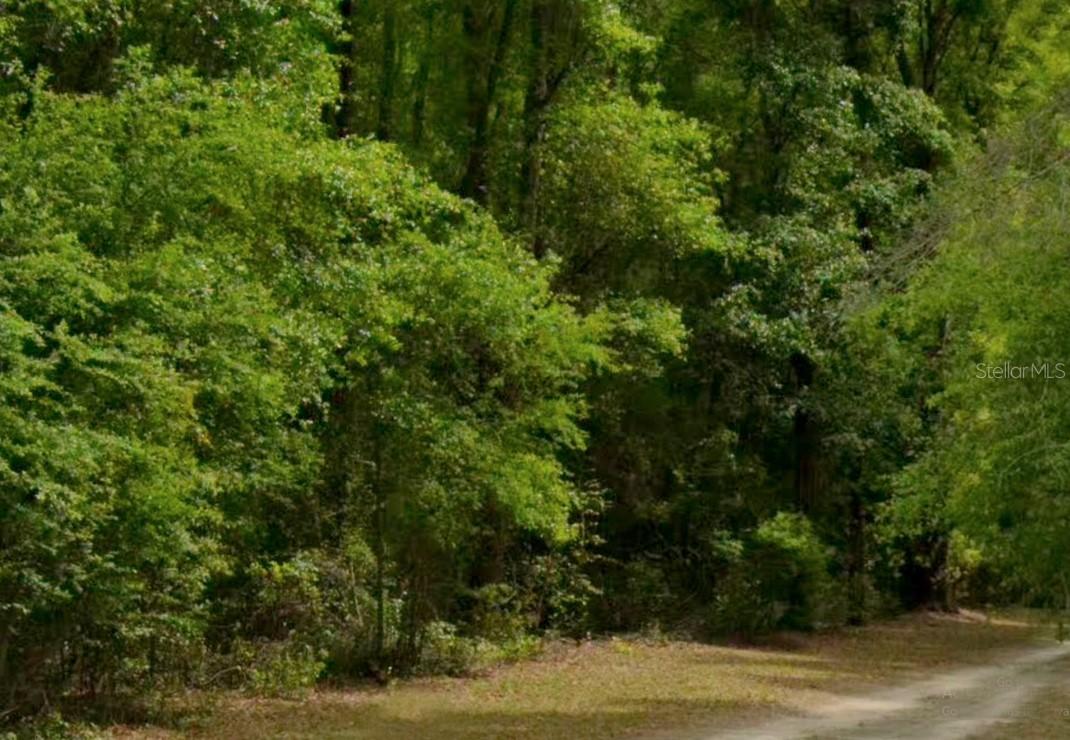 56th St., Live Oak, FL 32060