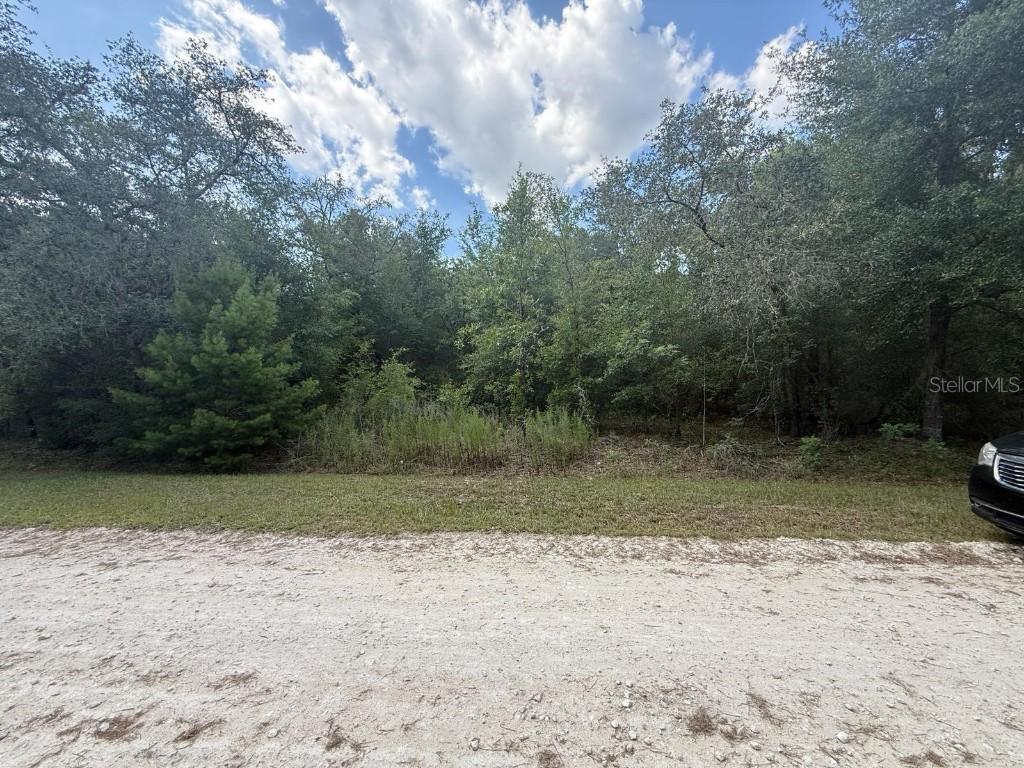 TBD 98th St., Dunnellon, FL 34432