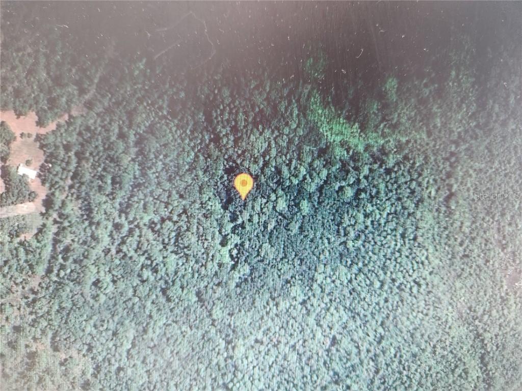 Holopaw Groves Rd., St Cloud, FL 34771