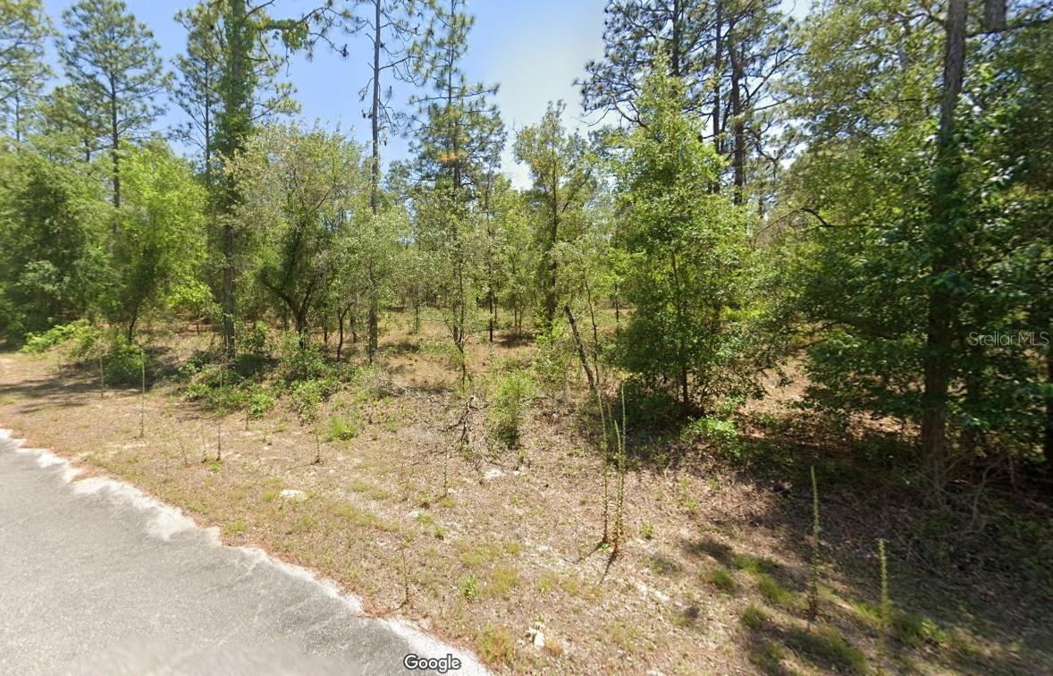 24262 Nw Aspen Lane, Dunnellon, FL 34431