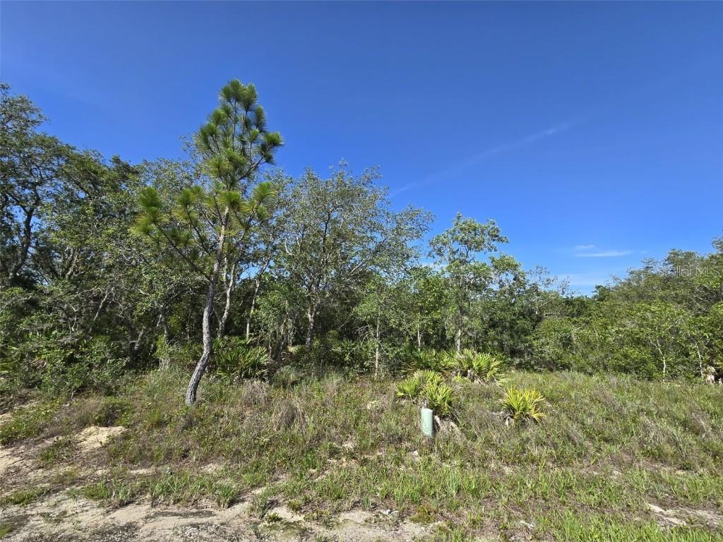 112 Tench Dr., Kissimmee, FL 34759