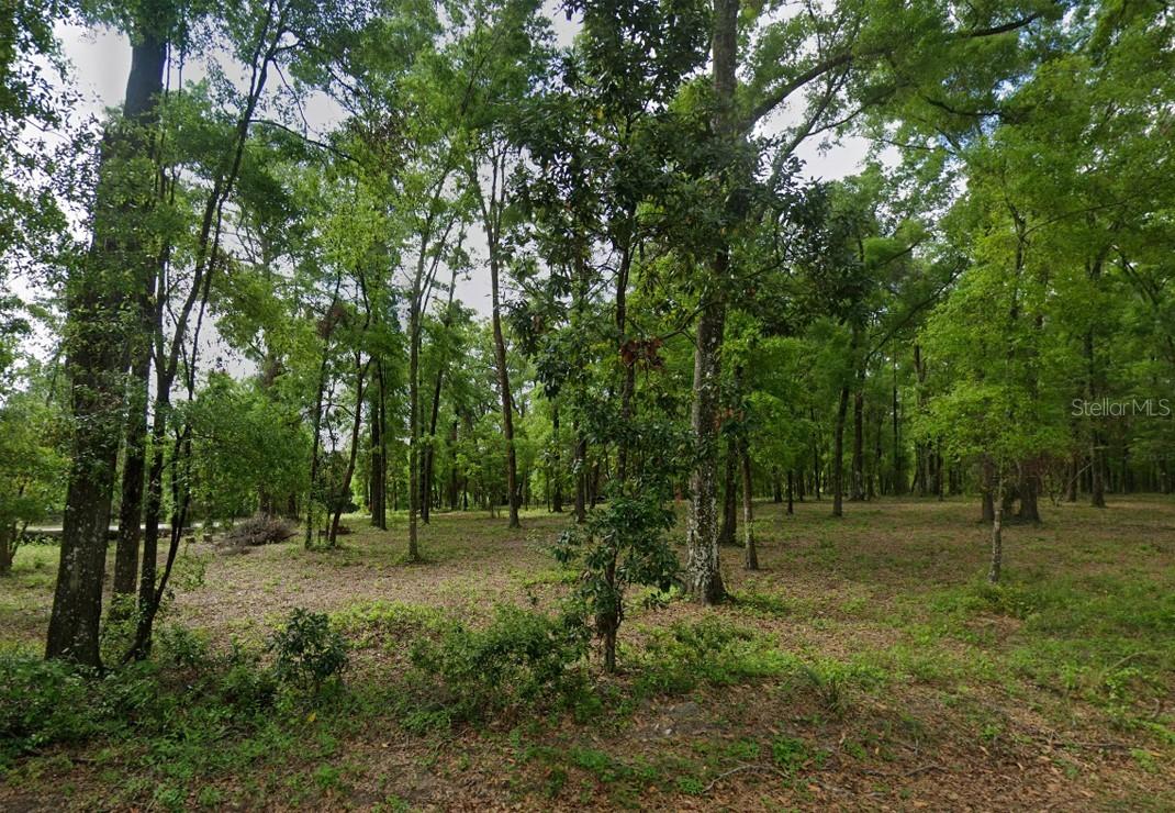 SW Hollingsworth St., Fort White, FL 32038