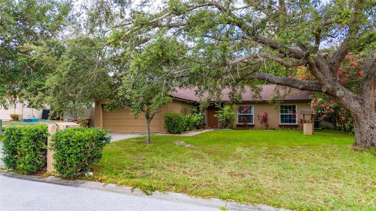 11649 Crescent Pines Blvd., Clermont, FL 34711