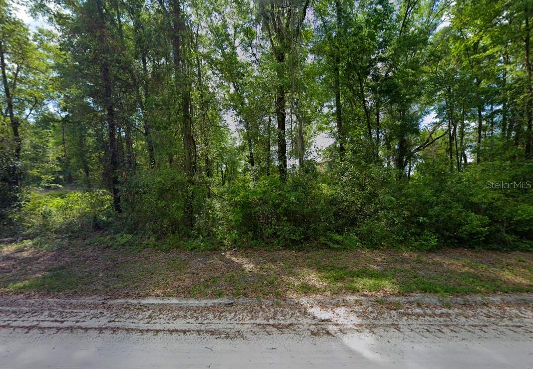 247 SW Merciful Pl., Fort White, FL 32038