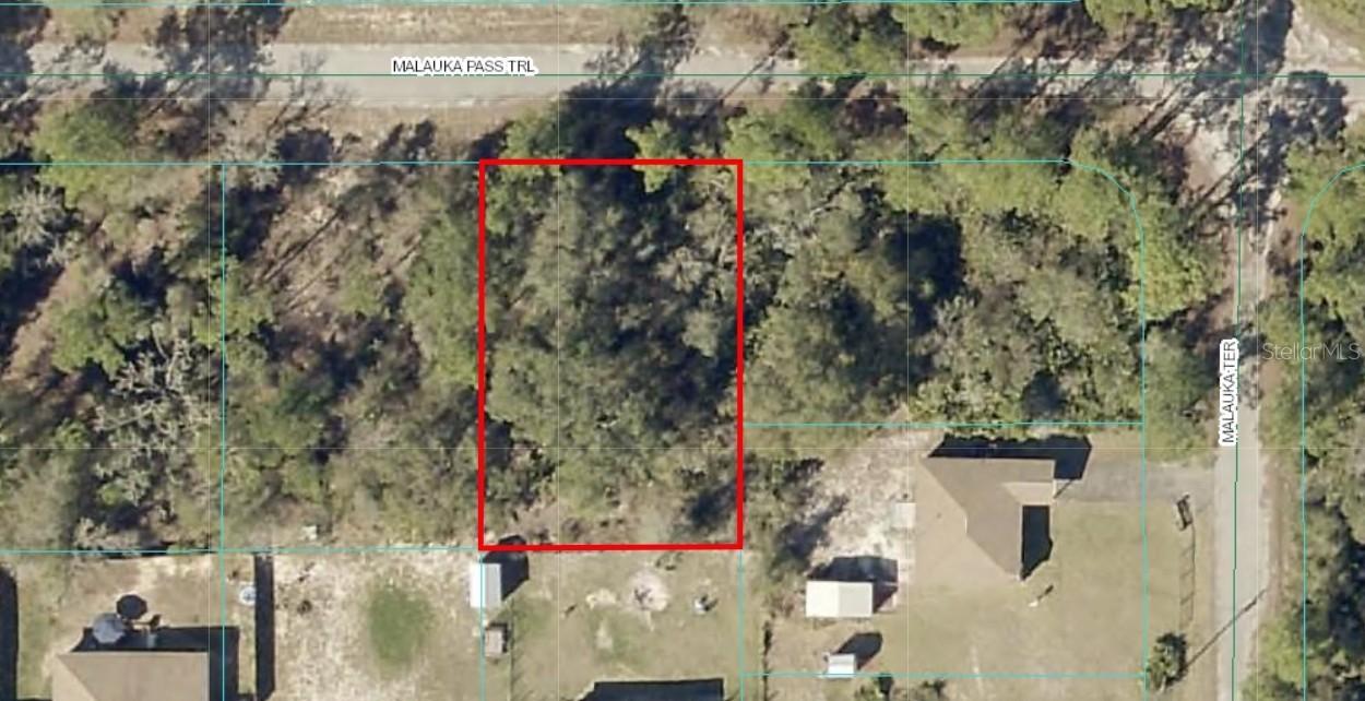 Malauka Pass Tr., Ocklawaha, FL 32179
