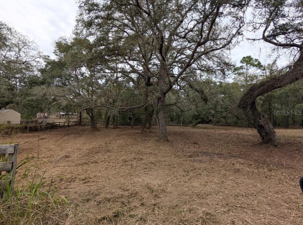 17131 SE 280th Ter., Umatilla, FL 32784