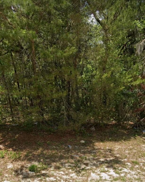 TBD SW 81st Ave., Ocala, FL 34473