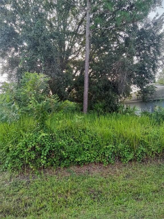 Maricopa Dr., Kissimmee, FL 34758