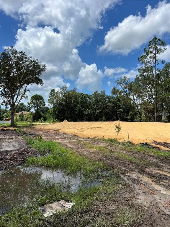 210 Spoonbill Dr., Kissimmee, FL 34759