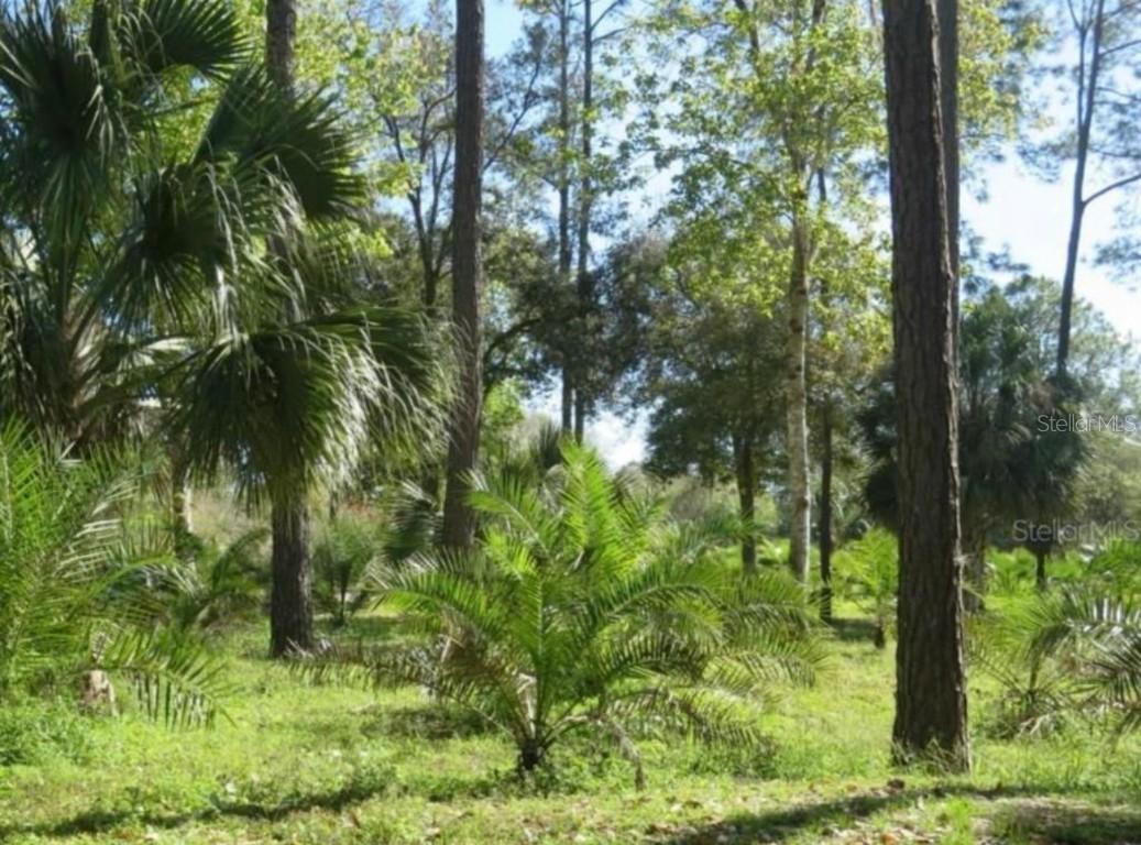 222 Vireo Ave., Sebring, FL 33870