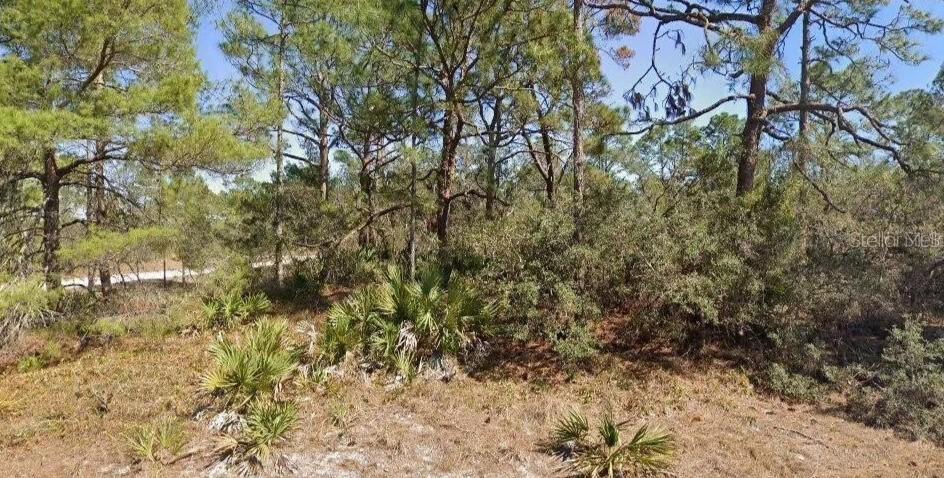 651 Jonathan St., Lake Placid, FL 33852